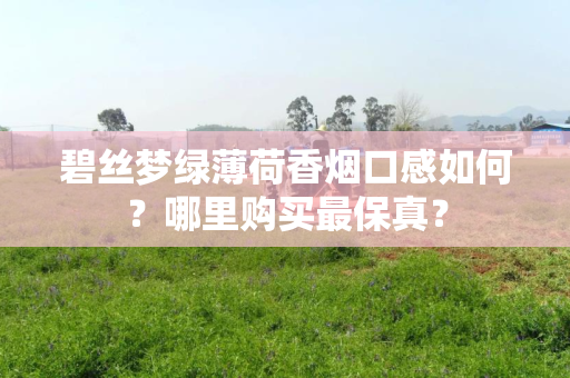 碧丝梦绿薄荷香烟口感如何？哪里购买最保真？